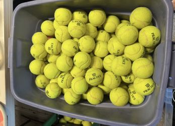 Tennis balls (200) Used