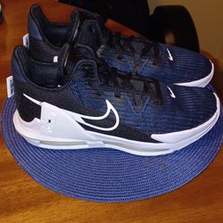 Nike LeBron Men's Size 11