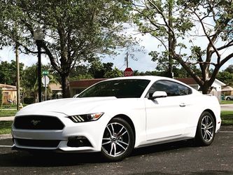 2016 FORD MUSTANG V6 <<MINT CONDITION>> 7️⃣8️⃣6️⃣7️⃣7️⃣3️⃣6️⃣3️⃣7️⃣5️⃣