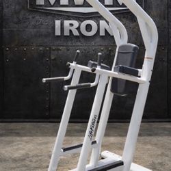 Life Fitness Pull-Up / Dip / Knee Raise Station – Commercial Grade
