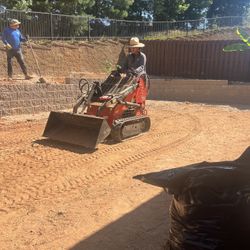 Bobcat