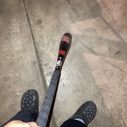 Cat baseball bat
