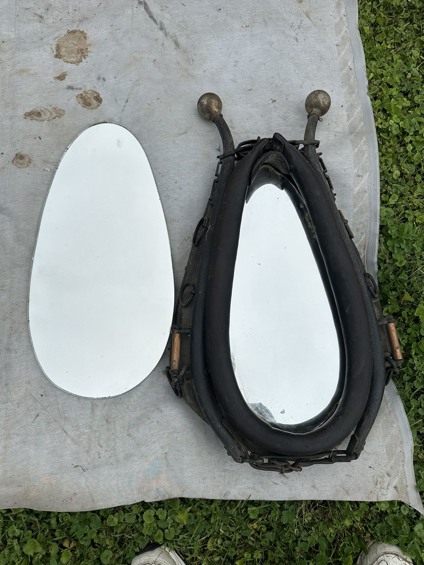 Tack Shop Products