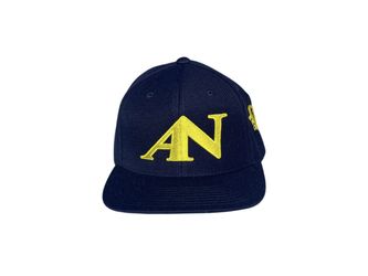 Ankhenaten Fitted Flat Bill