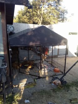 Dog kennel
