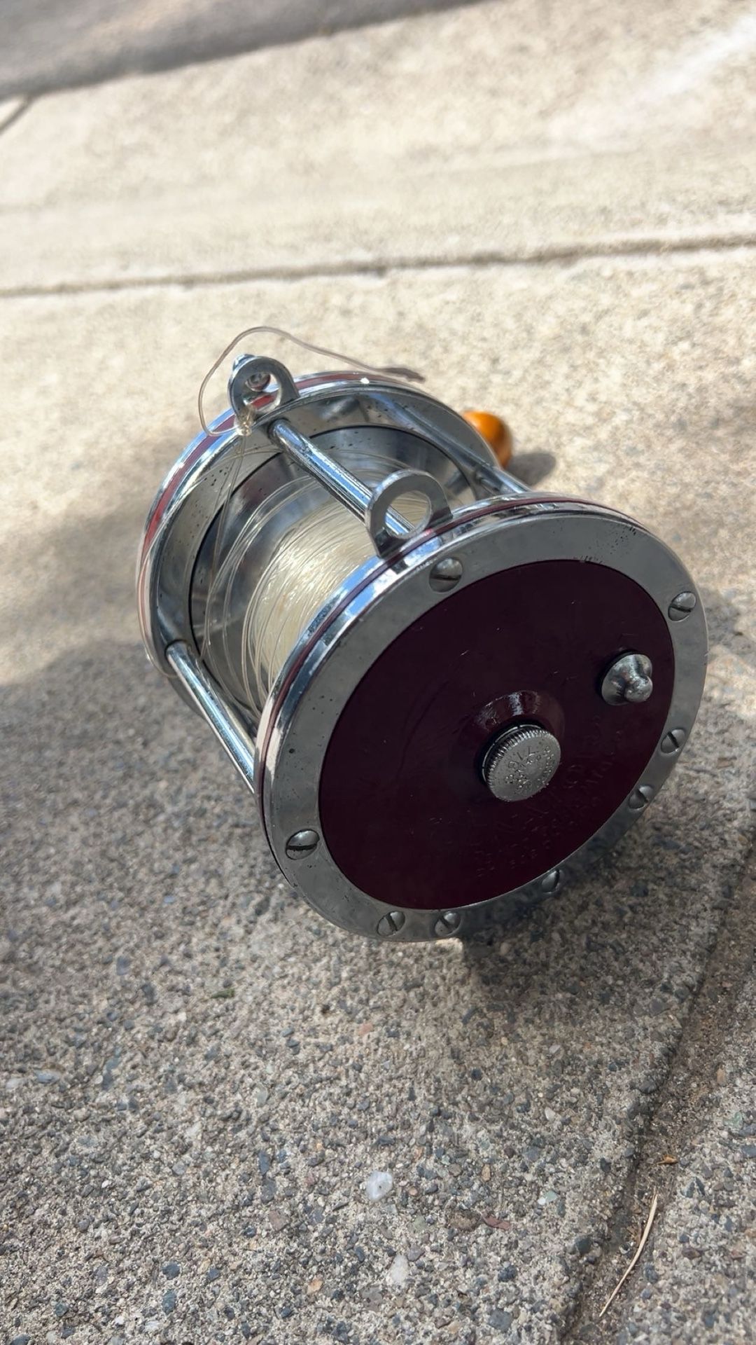 Penn Special Senator Star Drag Reel