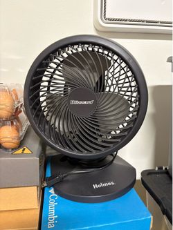 Fan
