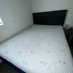 Sleepys memory Foam Plush Mattress 