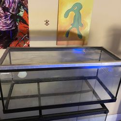20 Gallon Long Tank Aquarium 