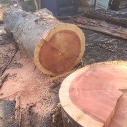 Beautiful Redwood Slabs