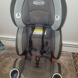 Graco 10 Position Car Seat 