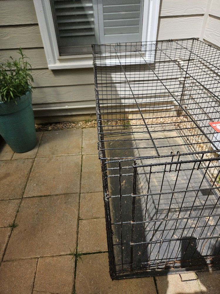 .Big dog cage