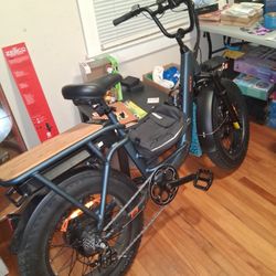 Electric Bicycle 