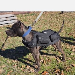 Weighted dog vest plus flotation,  size small