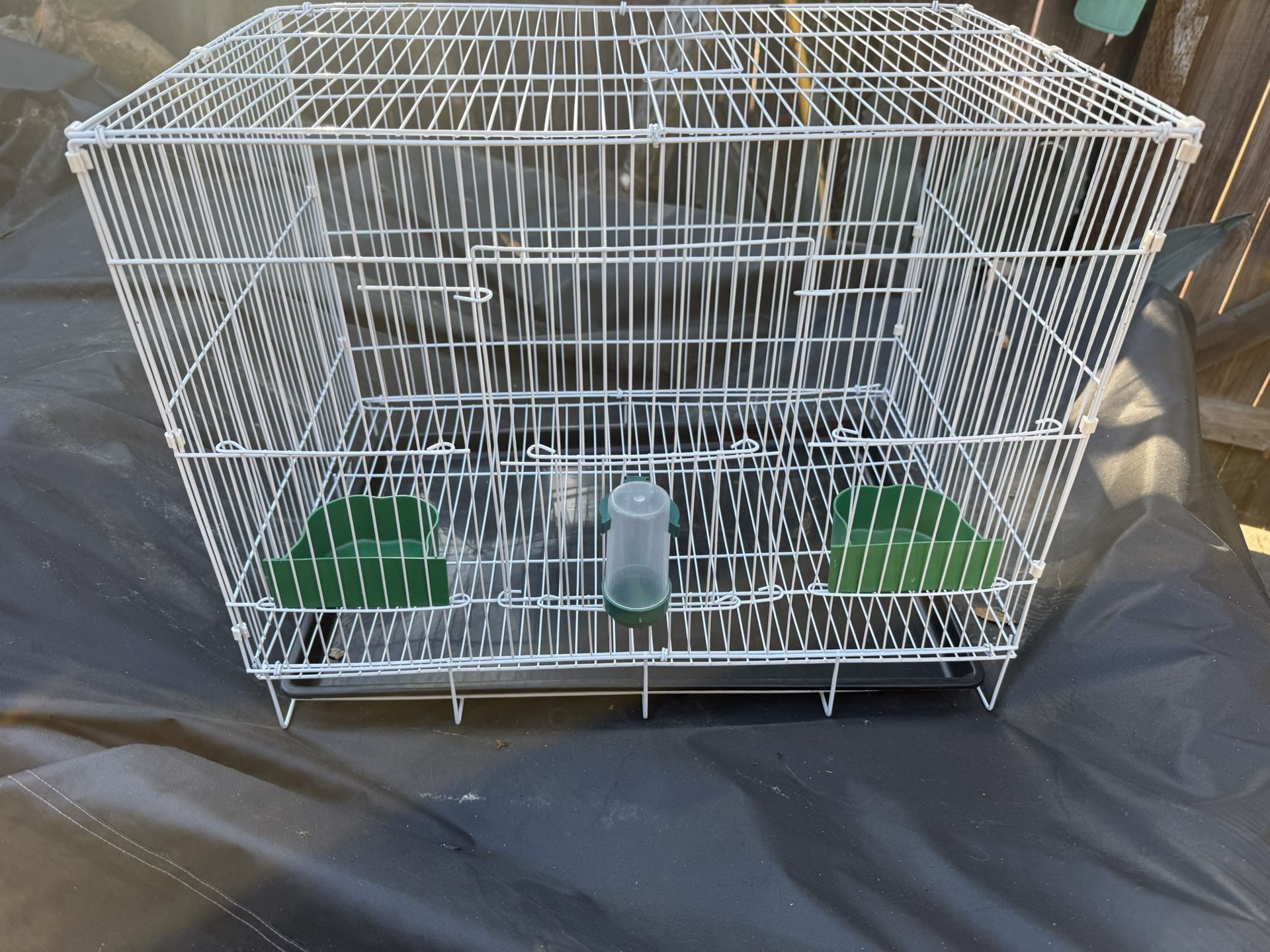 Bird Cage