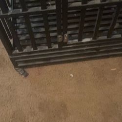 Steel Dog Cage 
