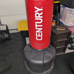 Century Punching Bag 