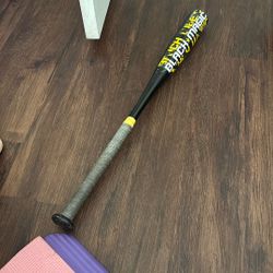 Youth Baseball Bat, 27 Inches
