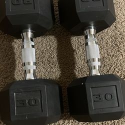 30lbs Dumbbells 