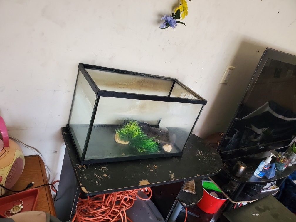Fish Tank
