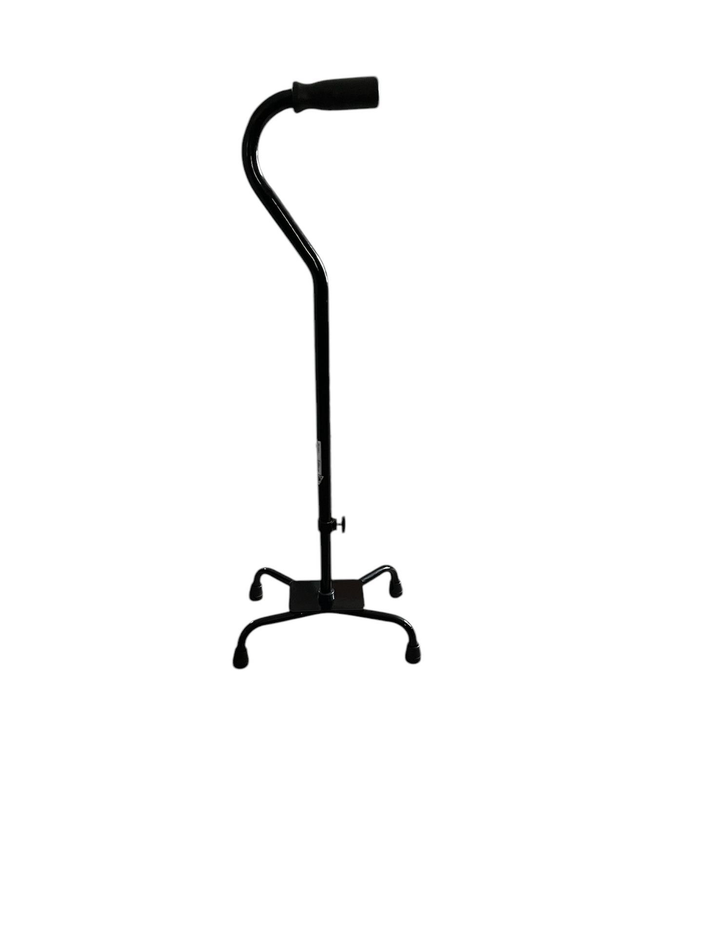 Cane