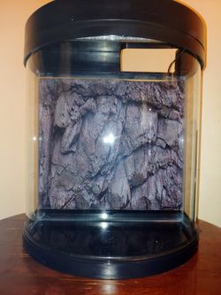 Fish Tank 5gallon FULL SYSTEM