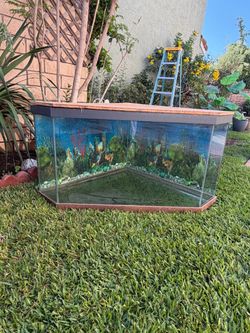 Fish tank