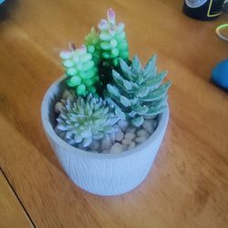 4x6 Faux Succulent Pot. 