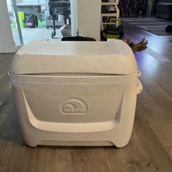 Igloo Cooler