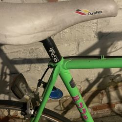 Old School FUJI Racing Bike