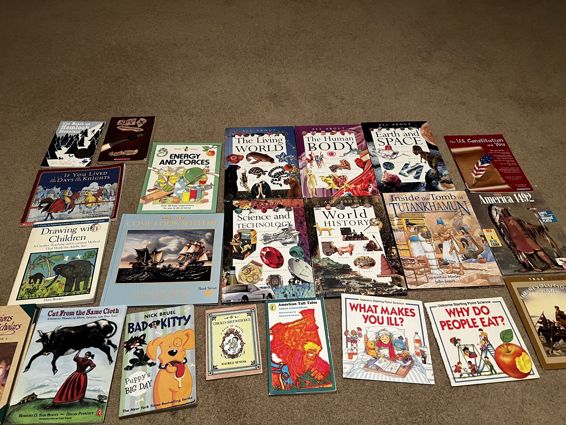 Children’s books Huge Lot