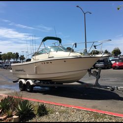 FISHERMAN BOAT - BAY LINER TROPHY