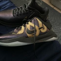 nike kobe 5 year of the Mamba