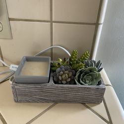Scentsy Succulent Garden. 