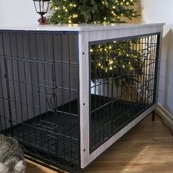 Dog House