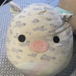 Gray Pig Squishmallow