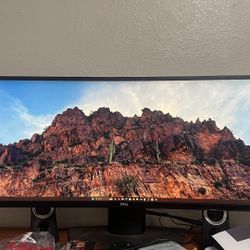 Dell 49” Curved Monitor