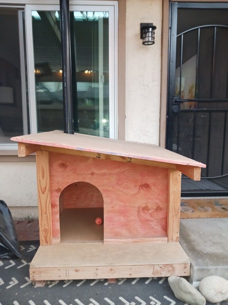 Dog House 