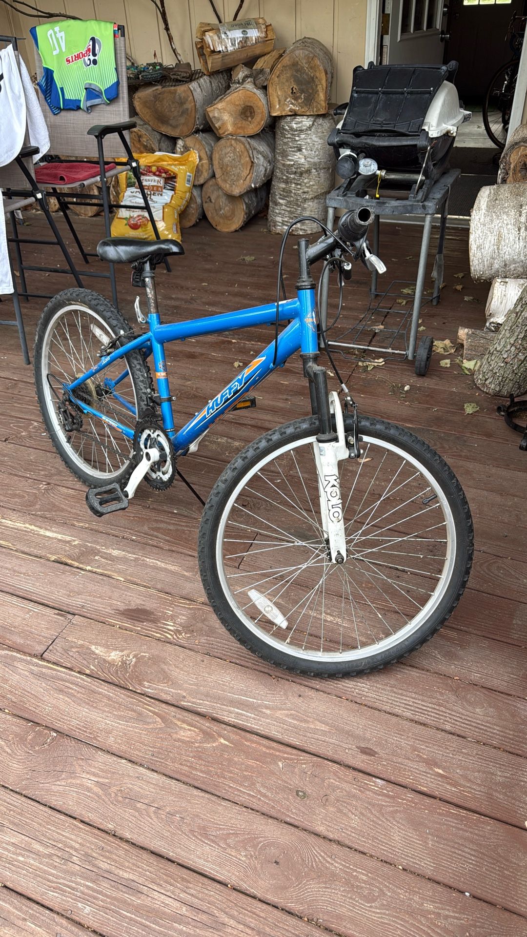Blue Bike