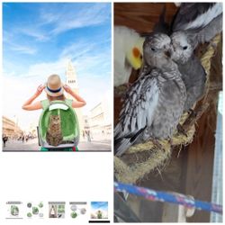 Bird Carrier