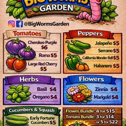 🌱Home Grown Organic plants ready!🌱