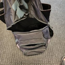 Demarini baseball bag