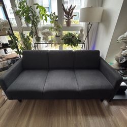 Couch/sofa 