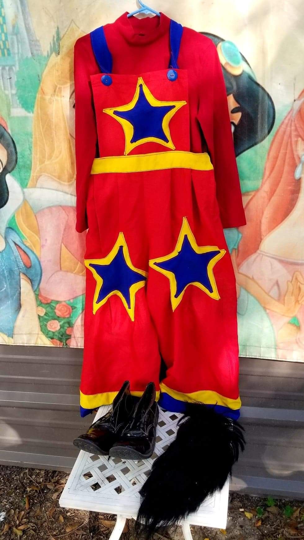 Trajes profesionales para payaso Professional clown costum