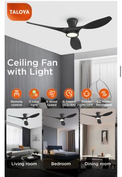 Modern 52” black 3 blade ceiling fan with light