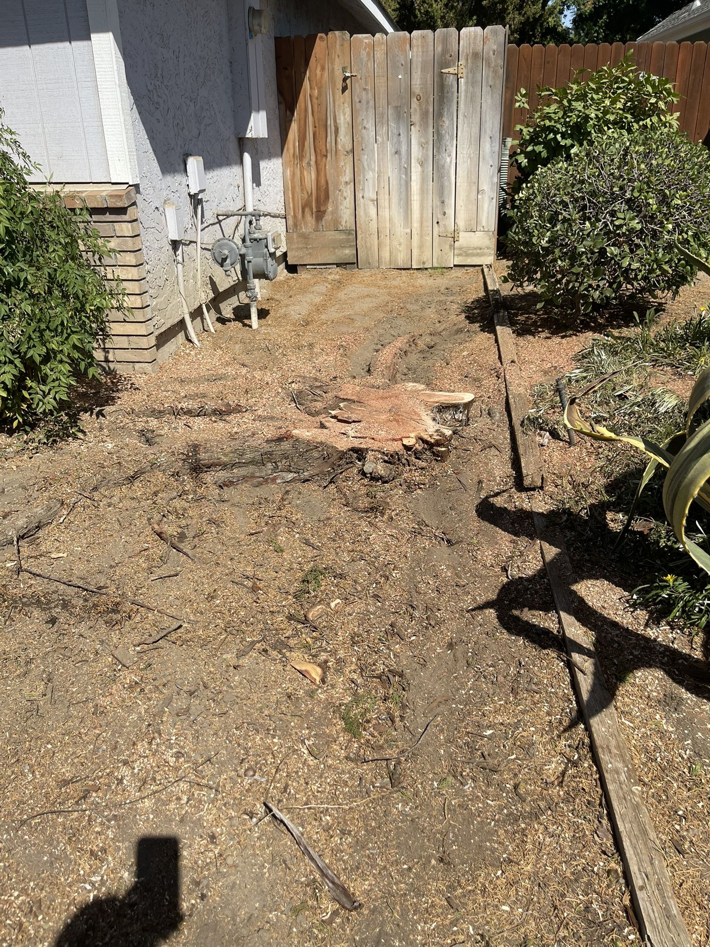 Stump Grinding 