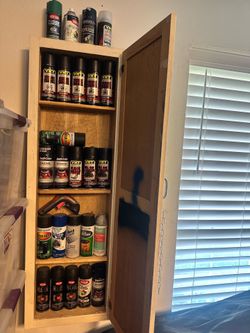Cabinet full of paint