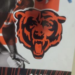 Bears Vs Panthers 2 Tickets Needed