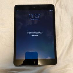 Apple Ipad Mini 
