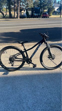 Specialized Mountain Bike